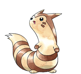 Furret | WikiDex | FANDOM powered by Wikia