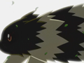 EP281 Zigzagoon Gigante