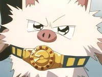 EP029 Primeape de Ash
