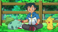 EP804 Bulbasaur junto a Ash y Pikachu
