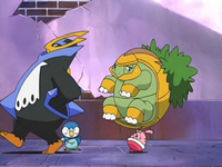 EP572 Happiny llevando a Grotle