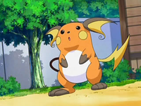 Raichu De Ash Wikidex Fandom