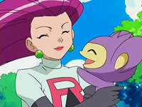 EP491 Jessie y Aipom