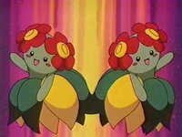 EP124 Belle y Bella