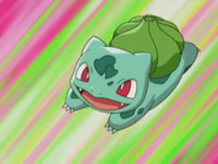 EP353 Bulbasaur de Aura