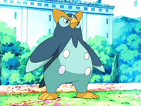 EP495 Prinplup de Kenny