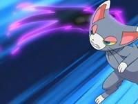 Resultado de imagem para glameow garra das sombras