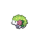 Shaymin tierra Pt