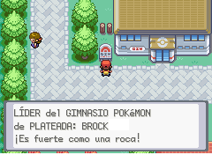 Brock Gimnasio