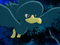 EP520 Murkrow de Polo