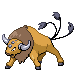 Tauros HGSS 2
