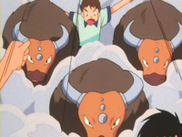 EP148 Tauros corriendo