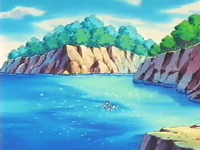 EP213 Isla de los Pidgey Rechonchos-Gorditos