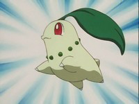 EP131 Chikorita de Ash