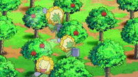 EP606 Sunflora regando las plantas (3)