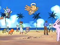 EP398 Coordinadores Pokémon