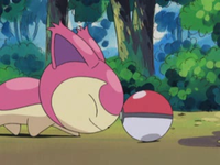 EP323 Skitty tocando la Pokéball