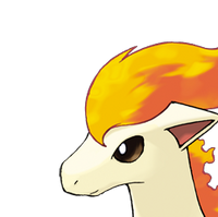 Ponyta Wikidex Fandom