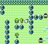 Atrapar a Mew Primera Parte