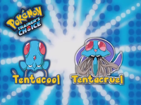 EP403 Elección