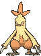 Imagen de Combusken macho en Pokémon X, Pokémon Y, Pokémon Rubà Omega, Pokémon Zafiro Alfa, Pokémon Sol y Pokémon Luna