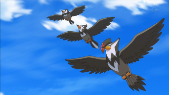 EP881 Starly, Staravia y Staraptor