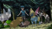 EP922 Pokémon del bosque (2)