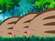 EP532 Swinub de Leona rastreando