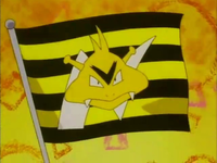 EP163 Bandera de Los Electabuzz