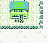 Guardería Pokémon RAA