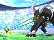 EP273 Bayleef de Ash sujetando Houndoon de Harrison