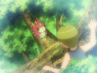 EP568 Alecrán con Wurmple