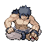 Bruno RFVH