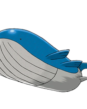 Wailord | WikiDex | Fandom