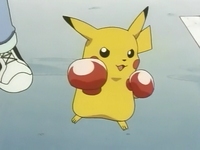 EP029 Pikachu de boxeador