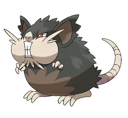 Raticate | WikiDex | FANDOM powered by Wikia