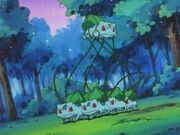 EP051 Secuestro del Bulbasaur de Ash