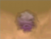 Señal Koffing Snap
