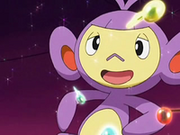 EP564 Ambipom apunto de dormir