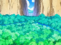 EP482 Sendero del Valle