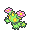 Maractus icon