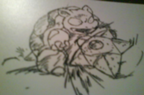 Blastoise Beta