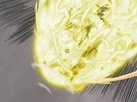 EP527 Pikachu usando placaje eléctrico