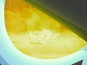 EP528 Luxray usando su visión especial (4)
