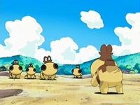 EP513 Hippopotas reencontrándose con los suyos