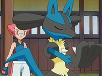 EP537 Lucario detectando el aura de Chimchar (2)