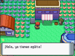 Regando una baya en DP