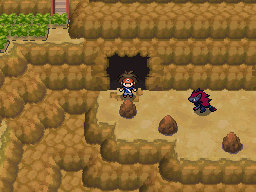 Zoroark de N Cueva CalleVictoria N2B2