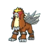 Entei XY