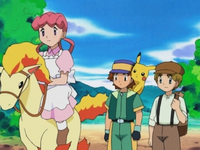Ponyta Wikidex Fandom